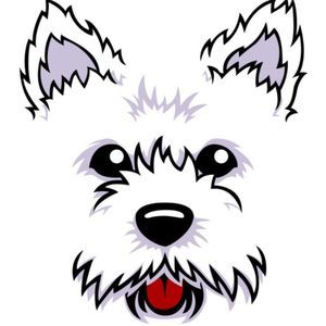 Meet your Posher, Lynn